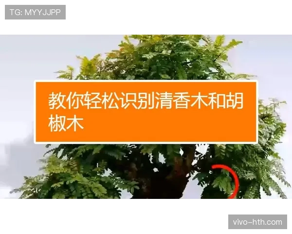 拖延时间违例怎么吹?教你轻松识别常见的篮球违例规则 拖延时间违例怎么吹?教你轻松识别常见的篮球违例规则
